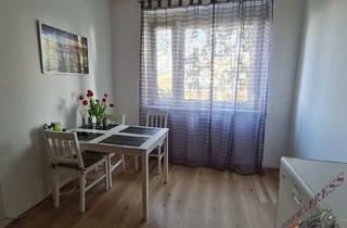 Wohnung mieten in 3380 Pöchlarn, Schöne Single-Wohnung mit neuem Badezimmer in Pöchlarn