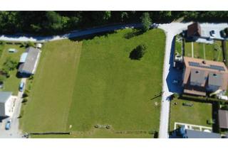 Grundstück zu kaufen in Lärchenweg, 9122 Sankt Kanzian am Klopeiner See, Grundstück in St.Kanzian am Klopeinersee