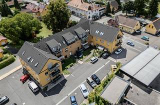Anlageobjekt in Stadt Leibnitz, 8430 Kaindorf, Anlageobjekt mit 3 Wohnungen und 2 Apartments in Leibnitz!