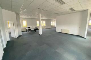 Büro zu mieten in Laxenburger Straße, 1230 Wien, Flexible Open-Space Bürofläche mit Lager in der Renommierten Laxenburger Straße 244, 1230 Wien