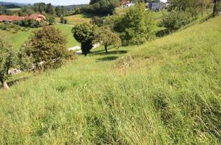 Grundstück zu kaufen in 8323 Krumegg, Sonniges Grundstück mit Aussicht
