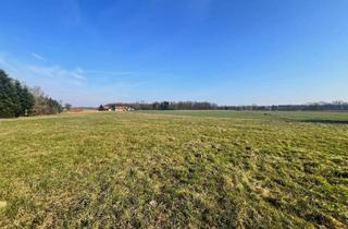 Grundstück zu kaufen in Autobahnauffahrt Und Trotzdem Ruhig!, 8263 Radersdorf, Leistbares, Ebenes, Sonniges Baugrundstück mit Guter Anbindung!