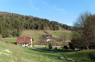 Grundstück zu kaufen in Stallhofen, 8152 Södingberg, Leistbares Baugrundstück in Herrlicher, Ruhiger-Sonniger Lage!