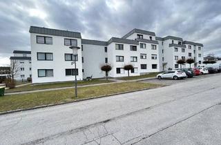 Wohnung mieten in 4312 Ried in der Riedmark, Helle 3-Zi-Wohnung mit großen Südbalkon in Ried i.d. Riedmark – 71m², 629 € Miete!