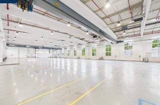 Büro zu mieten in 3830 Waidhofen an der Thaya, Schlüsselfertige Gewerbeliegenschaft · 9.761 m² · € 3,00/m² · Sofortbezug