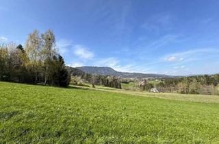 Grundstück zu kaufen in 8061 Sankt Radegund bei Graz, Traumhafte Aussicht – Sonniger Baugrund in Rinnegg!