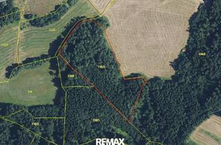 Gewerbeimmobilie kaufen in 8181 Sankt Ruprecht an der Raab, Mischwaldfläche in St. Ruprecht an der Raab