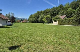 Grundstück zu kaufen in 3163 Rohrbach an der Gölsen, sonniger Baugrund