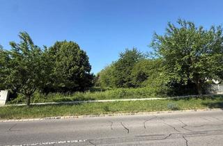 Grundstück zu kaufen in 7035 Steinbrunn, Großzügiges Baugrundstück in Seenähe