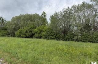 Grundstück zu kaufen in 6972 Fußach, Fußach: Grundstück in ruhiger Lage