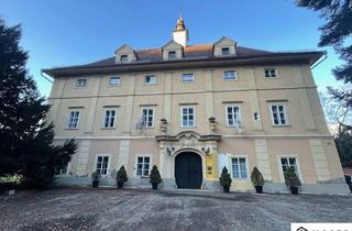 Immobilie kaufen in 8750 Judenburg, +++Historisches Schloss mit einem ca. 2 ha großen Garten in Judenburg - Ein Traum für historisch begeisterte Investoren+++