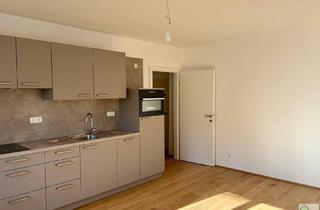 Wohnung mieten in Hartlgasse, 1200 Wien, Charmante, sanierte Singlewohnung in ruhiger Lage - 1200 Wien
