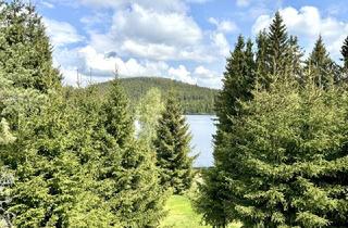 Haus kaufen in 3665 Gutenbrunn, HAUS AM SEE - Ihr privates Naturparadies im Waldviertel