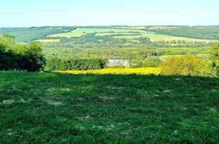 Grundstück zu kaufen in 8782 Treglwang, Baugrundstück in Zalascany mit Panoramablick