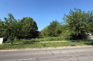Grundstück zu kaufen in 7035 Steinbrunn, Großzügiges Baugrundstück in Seenähe