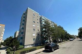 Wohnung kaufen in 2500 Baden, 3 Zimmer Wohnung plus Loggia und Lift