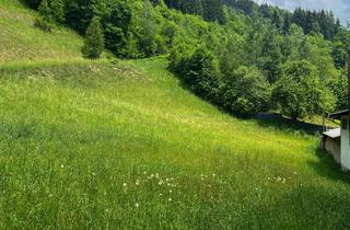 Grundstück zu kaufen in 5660 Taxenbach, Wohnen in Taxenbach – sonniges Hanggrundstück für Ihr Zuhause