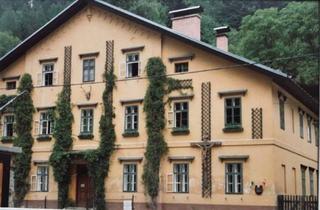 Haus kaufen in 2641 Schottwien, Altes Herrschaftshaus Semmeringgegend