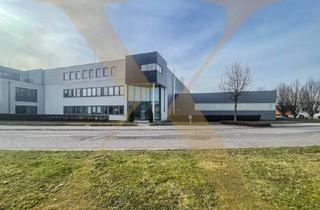 Büro zu mieten in Im Südpark, 4030 Linz, Flexible Gewerbeliegenschaft mit Hallen- und Büroflächen im Südpark Linz zu vermieten!