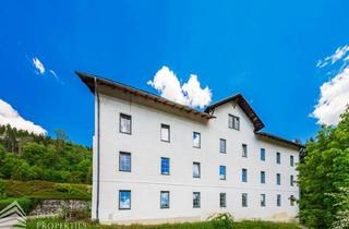 Anlageobjekt in 8664 Großveitsch, Sanierungsbedürftiges Wohnhaus mit 24 Wohneinheiten in Hanglage