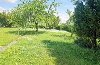 Reihenhaus kaufen in Schwaigaustraße 2, 4030 Linz, Top 2! Schlüsselfertiges Reihenhaus Inkl. Carport und Parkplatz in Pichling: 5 Zimmer, Terrasse, Eigengarten.