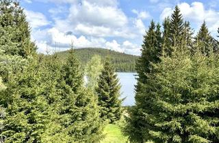 Haus kaufen in 3665 Edlesberg, Haus am See - ihr Privates Naturparadies im Waldviertel