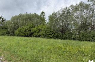 Grundstück zu kaufen in 6972 Fußach, Fußach: Grundstück in ruhiger Lage