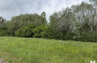 Grundstück zu kaufen in 6972 Fußach, Fußach: Grundstück in ruhiger Lage