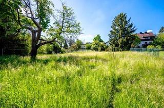 Grundstück zu kaufen in 2380 Perchtoldsdorf, Perchtoldsdorf | Über 1.000 m² Eigengrund mit Altbestand an der Wiener Stadtgrenze