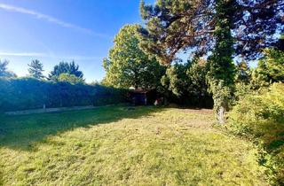 Haus mieten in 1230 Wien, Charmanter 2,5 Zimmer Bungalow mit großem Süd-Garten (550m2) in Vösendorf! (150m zur Wiener Stadtgrenze)