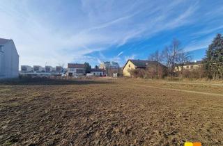 Grundstück zu kaufen in Jedlersdorfer Straße, 1210 Wien, Zwei nebeneinander liegende, sonnige Baugrundstücke in Stammersdorf