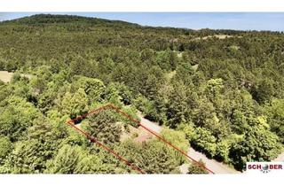 Grundstück zu kaufen in 2551 Enzesfeld-Lindabrunn, 2.061 m2 Traumgrund neben dem Wald