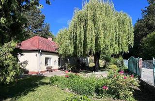 Einfamilienhaus kaufen in 2551 Enzesfeld-Lindabrunn, Idyllische Waldrandruhelage