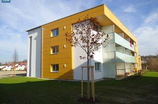 Wohnung mieten in Dr. Finsterer-Weg, 5252 Aspach, Objekt 2037: 2-Zimmerwohnung in 5252 Aspach, Dr. Finsterer-Weg 4, Top 5
