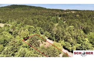 Grundstück zu kaufen in Steinbruchstraße, 2551 Enzesfeld-Lindabrunn, 2.061 m2 Traumgrund neben dem Wald