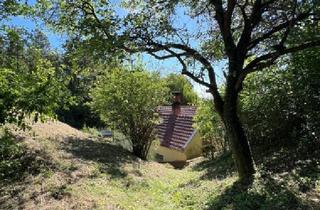 Einfamilienhaus kaufen in Steinbruchstraße, 2551 Enzesfeld-Lindabrunn, Idyllische Waldrandruhelage