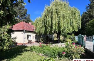 Einfamilienhaus kaufen in Steinbruchstraße, 2551 Enzesfeld-Lindabrunn, Idyllische Waldrandruhelage