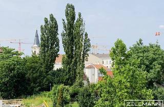 Wohnung mieten in 1230 Wien, lichtdurchflutetes Dachgeschoss mit Charme und Freifläche | ZELLMANN IMMOBILIEN