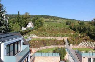 Maisonette mieten in Neustift am Walde, 1190 Wien, Dachterrassmaisonette nähe AIS - ZWEITBEZUG