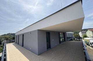 Penthouse mieten in 4048 Puchenau, Neubau Penthouse mit 2 TG-Plätze | Harmonia Puchenau (Miete)