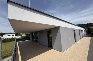 Penthouse mieten in 4048 Puchenau, Luxus Penthouse inklusive 3 TG-Plätze | Erstbezug | Harmonia Puchenau (Miete)