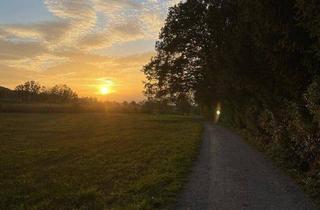 Grundstück zu kaufen in 5301 Eugendorf, Sonniges Grundstück in Ruhelage mit Altbestand