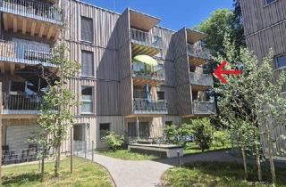 Wohnung mieten in Zemannstr./Kammerstr., 4240 Freistadt, Top A06 im Baumwerk Freistadt! 88,19 m² WNFL + Balkon + Loggia, 3 Zimmer, Küche möbliert, inkl. Tiefgarage! Barrierefrei!