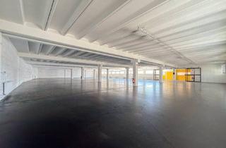Büro zu mieten in Sagedergasse, 1120 Wien, 2 MONATE MIETFREI - TEMPERIERTE LAGERFLÄCHE - CA. 849,69 m² - LADERAMPE - STELLPLÄTZE - IM HERZEN DES 12. GEMEINDEBEZIRKS