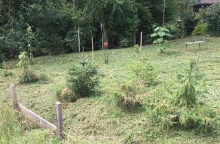 Grundstück zu kaufen in 8264 Großhartmannsdorf, Leben im Grünen am ruhigen Waldrand!