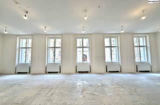 Büro zu mieten in Rathausplatz, 1010 Wien, 360 TOUR // REPRÄSENTATIVES BÜRO NAHE RATHAUSPLATZ