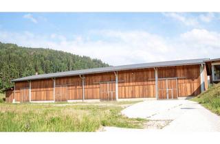 Gewerbeimmobilie kaufen in 9312 Meiselding, Großzügige Lagerhalle in Kraig