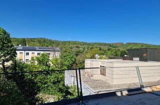 Penthouse kaufen in Köchelgasse, 1130 Wien, Gut aufgeteilte 4 Zimmer Dachgeschoss Wohnung mit Traumblick!