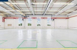 Büro zu mieten in 3830 Waidhofen an der Thaya, VERMIETUNG - PRODUKTIONSFLÄCHEN im Waldviertel