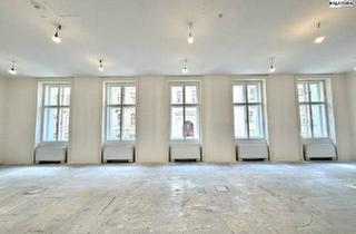 Büro zu mieten in Rathausplatz, 1010 Wien, 360 TOUR // REPRÄSENTATIVES BÜRO NAHE RATHAUSPLATZ